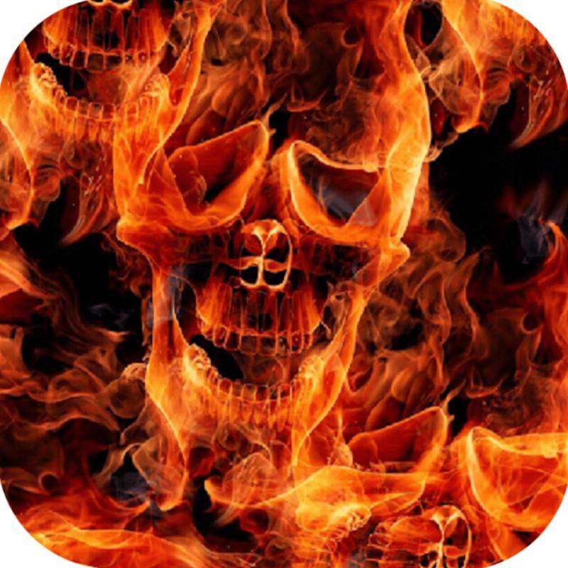 Flames & Skulls 4 Lámina PVA de Hidroimpresion - Tienda de Hidroimpresion